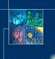webmuseum.ch